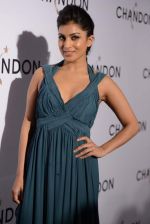 Pallavi Sharda at Moet Hennesey launch of Chandon wines made now in India in Four Seasons, Mumbai on 19th Oct 2013